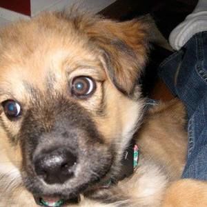 Meet your Posher, Carol